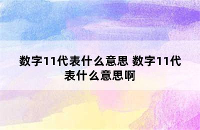 数字11代表什么意思 数字11代表什么意思啊